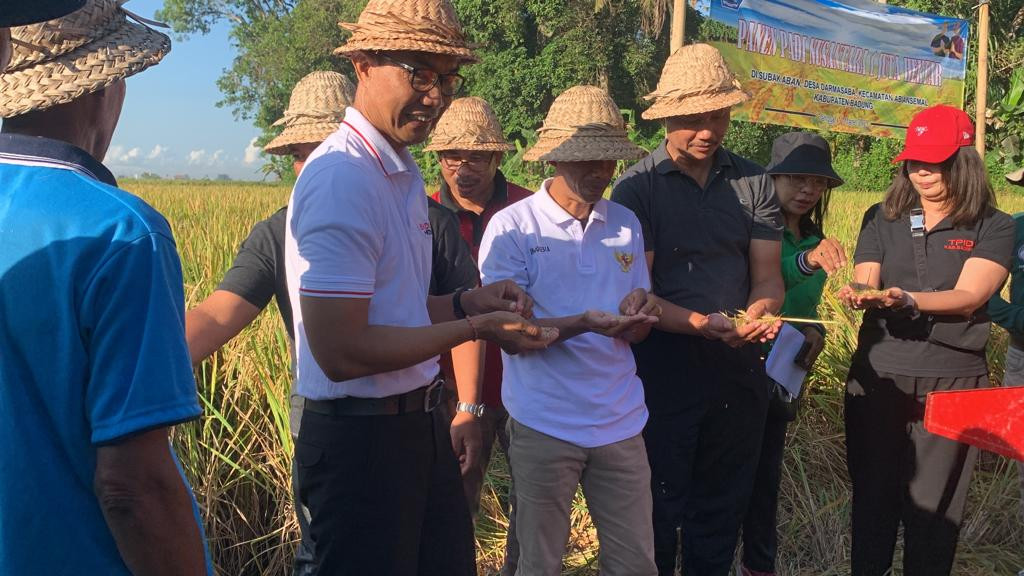 AWALI PANEN RAYA PADI BADUNG GELAR PANEN PADI NUSANTARA 1 JUTA HEKTAR DI SUBAK ABAN
